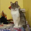 Отзыв от Эмилия Осипова
